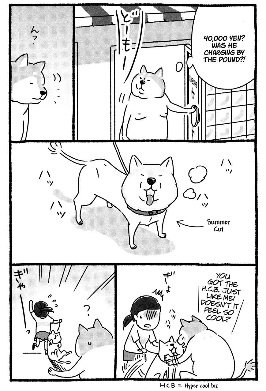 Shiba Occhan - Chapter 10 : Hyper Cool Biz