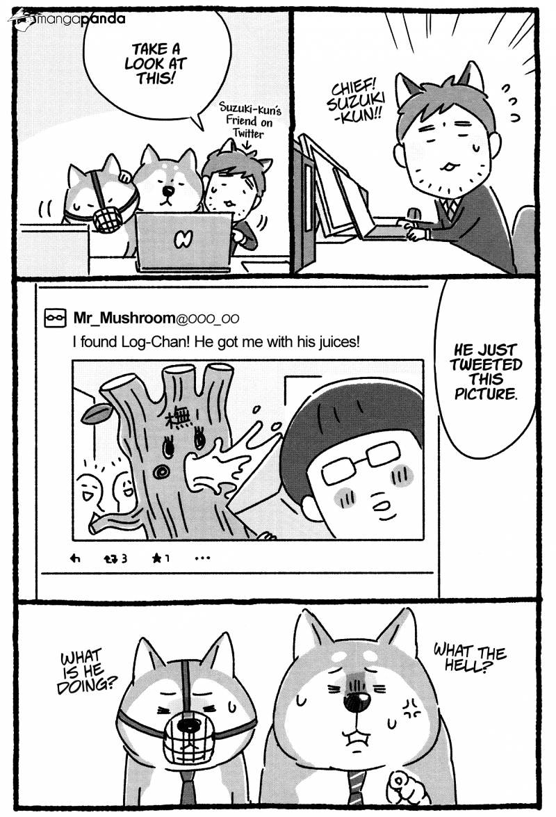 Shiba Occhan - Chapter 16