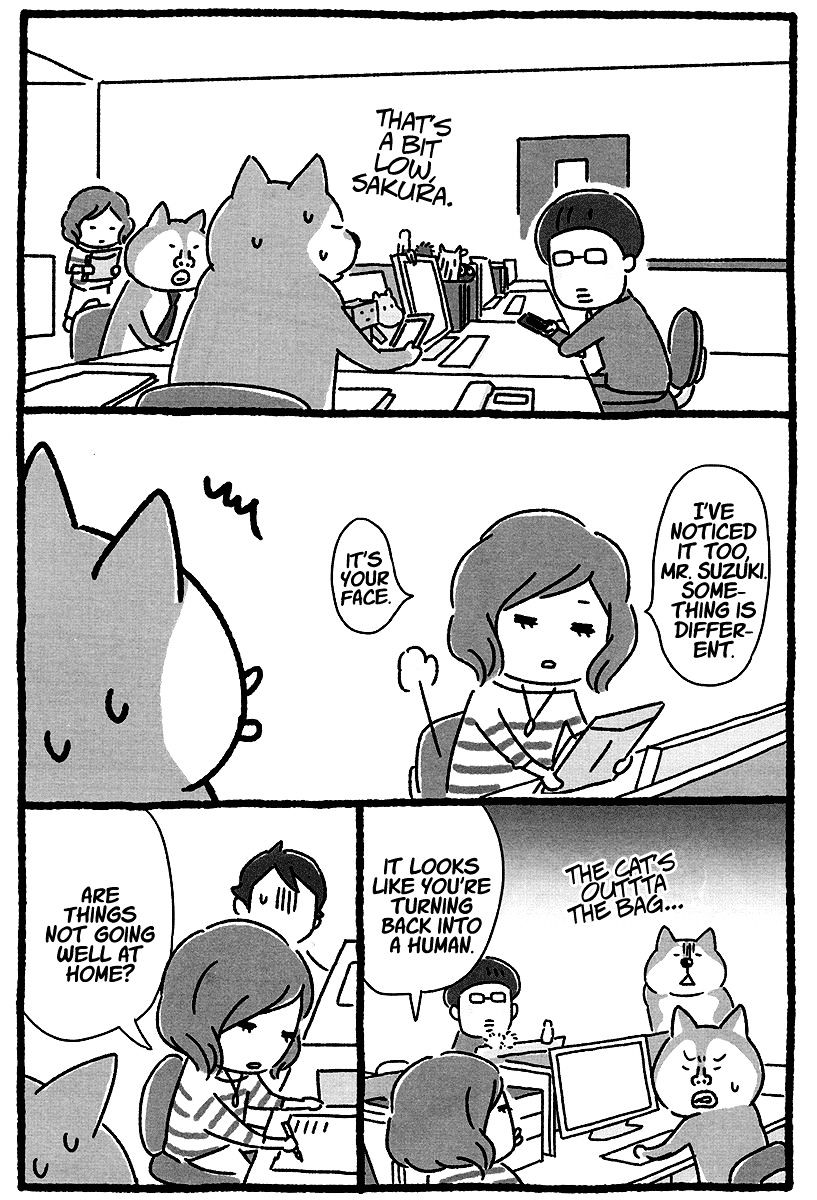 Shiba Occhan - Chapter 15 : Comeuppance