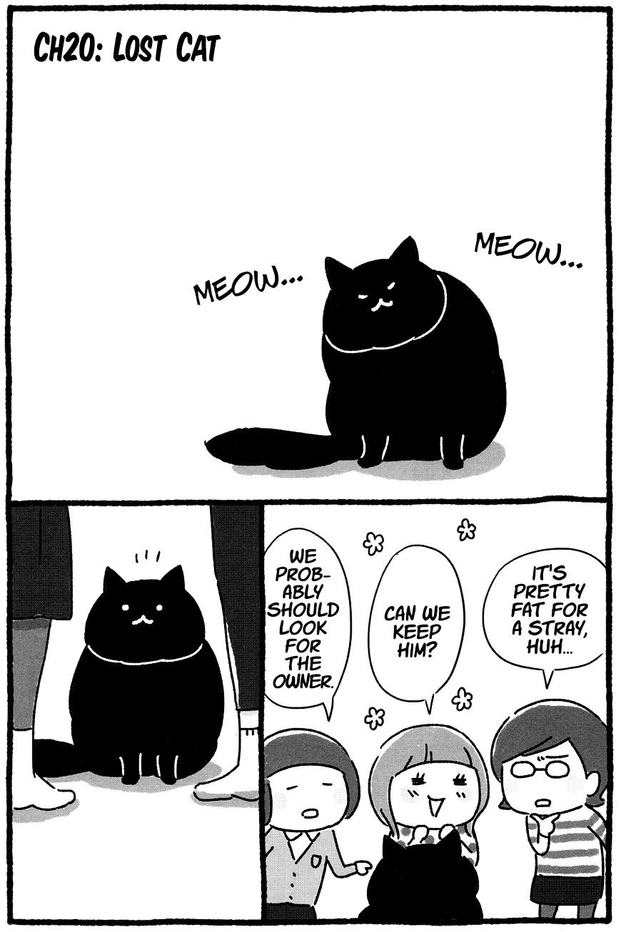 Shiba Occhan - Chapter 20 : Stray Cat