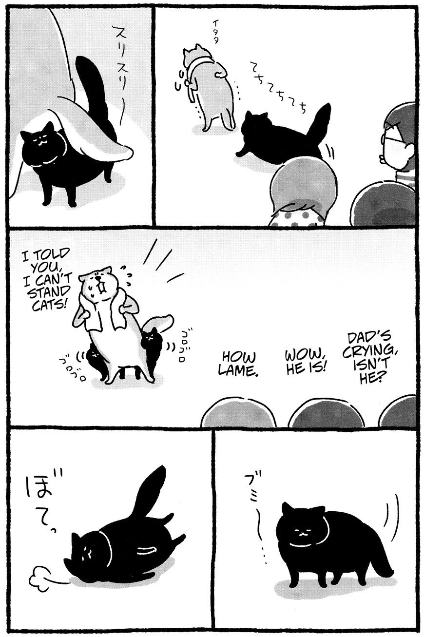 Shiba Occhan - Chapter 20 : Stray Cat