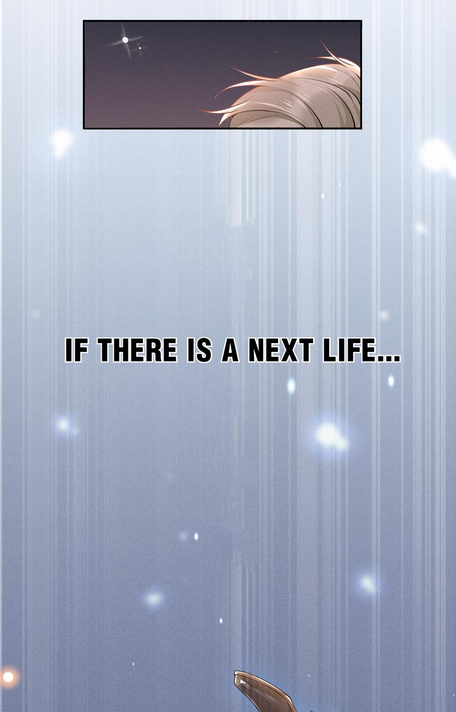 See You Never - Chapter 4: If There Is A Next Life...