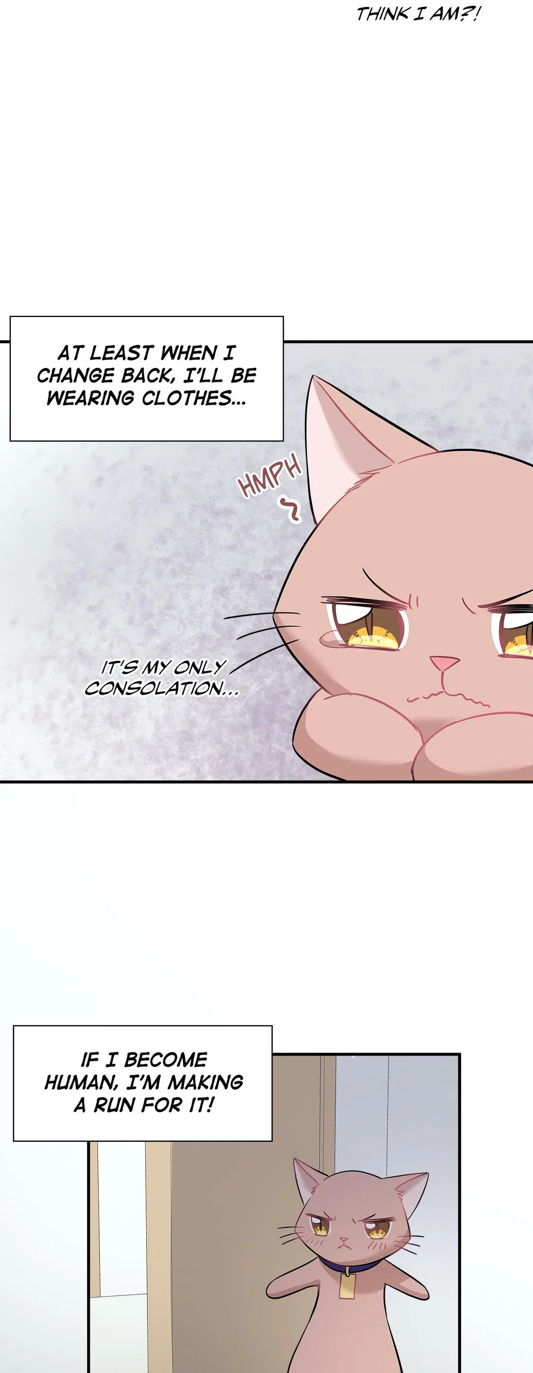 Just For A Meowment - Chapter 22