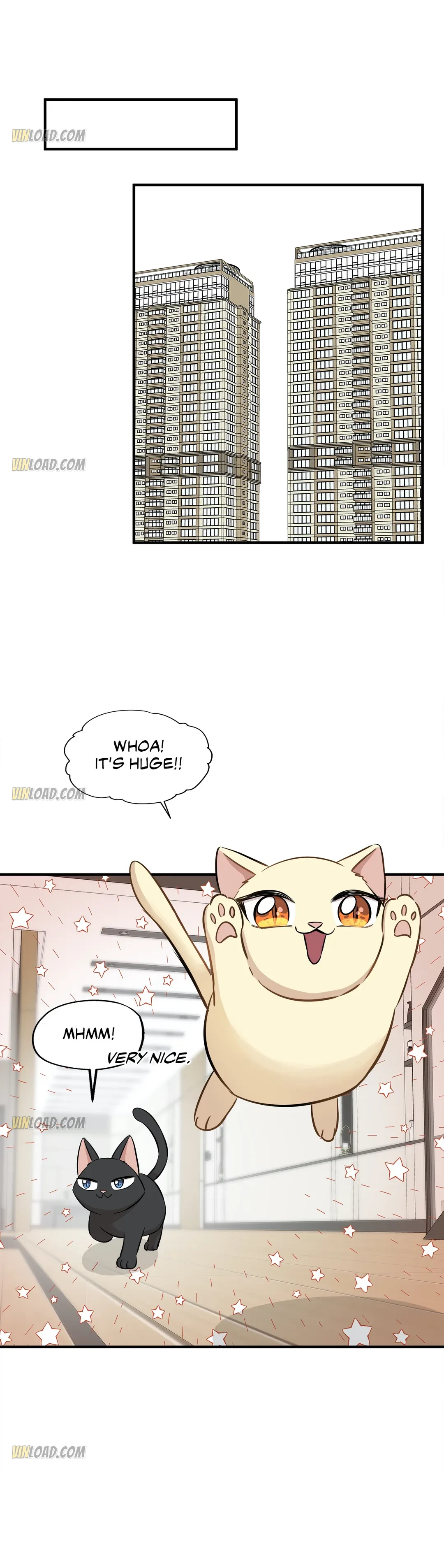 Just For A Meowment - Chapter 64