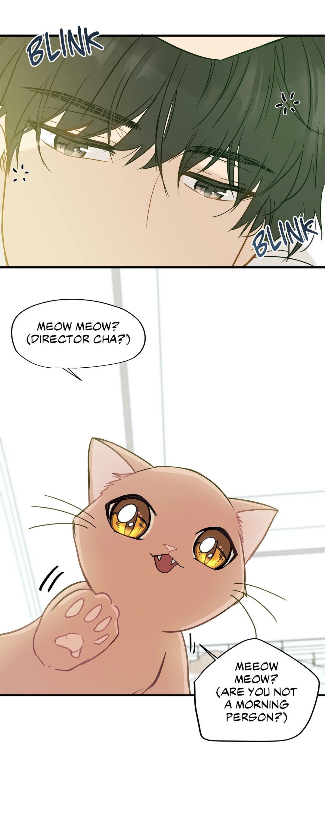 Just For A Meowment - Chapter 8