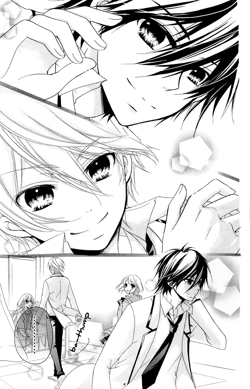 Ouji To Hero - Vol.4 Chapter 15 : A Destined Love