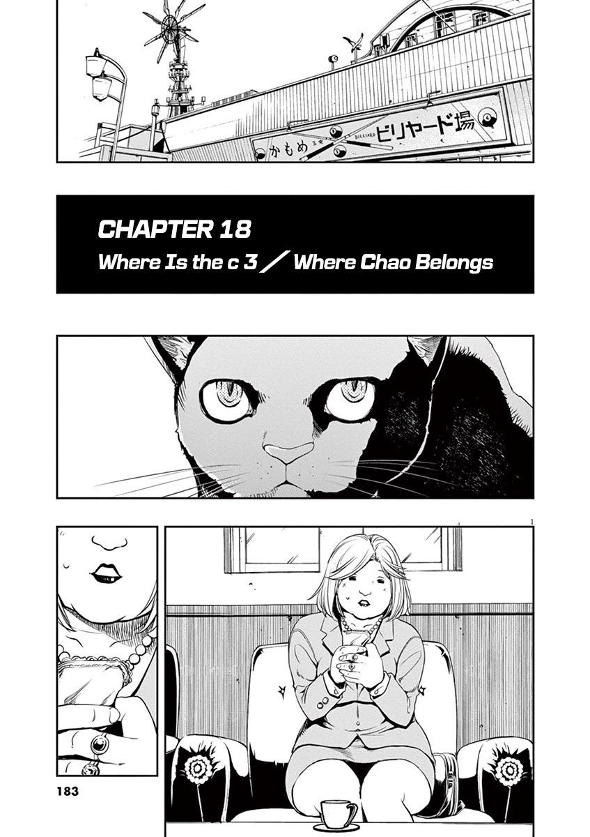 Kamen Rider W: Fuuto Tantei - Chapter 18: Where Is The C 3/Where Chao Belongs