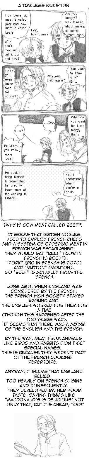 Hetalia - Vol.ex Chapter 1.6 : Comic Diary 6