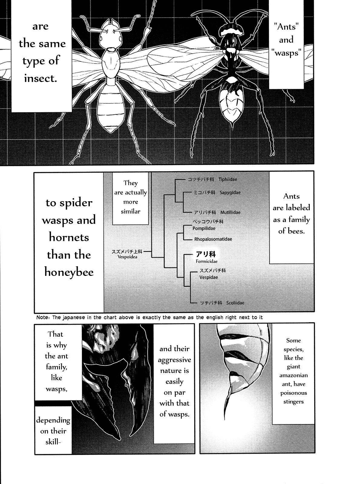 Arachnid - Vol.10 Chapter 46 : You're No Friend Of Mine