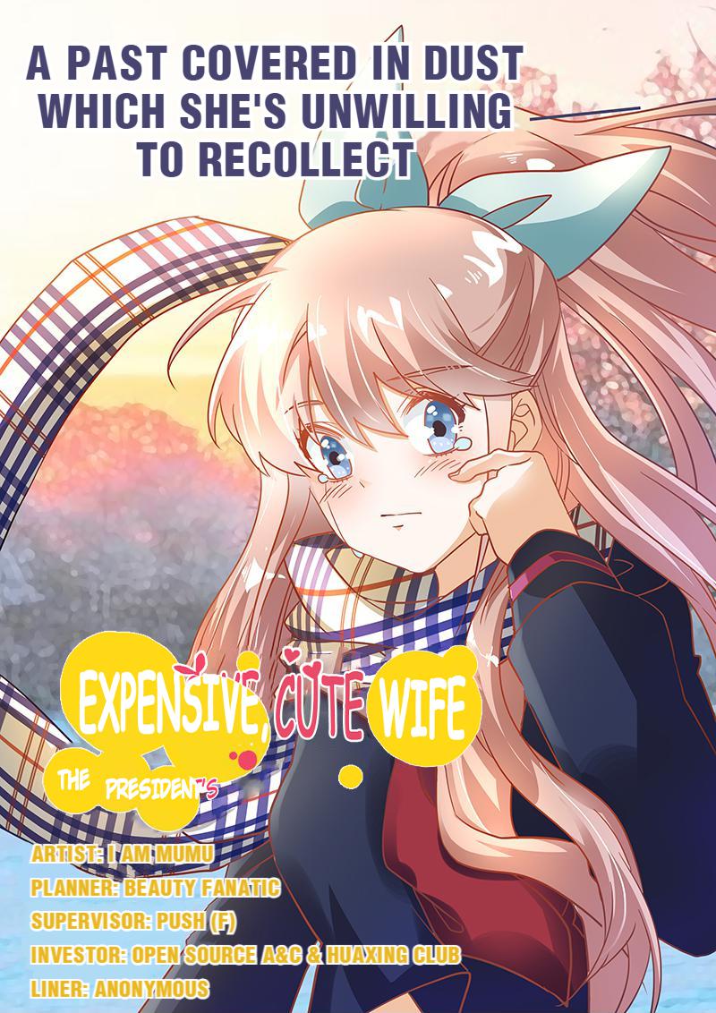 The President's Expensive, Cute Wife - Chapter 40: Episode 40