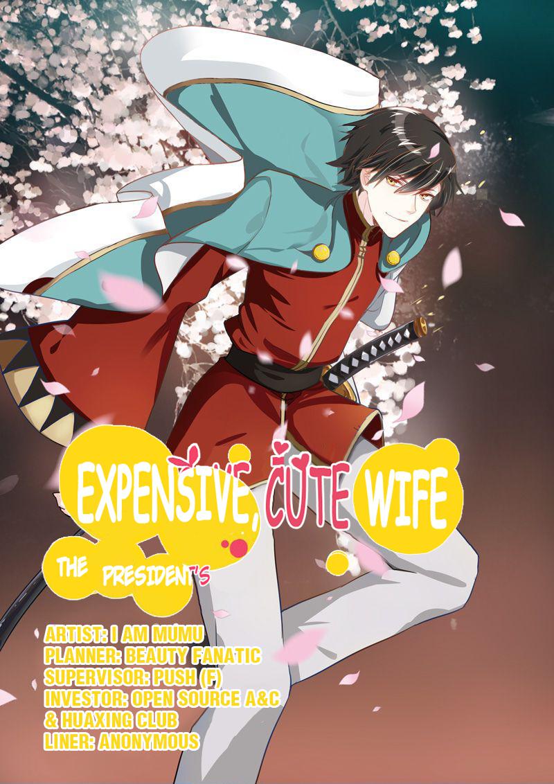 The President's Expensive, Cute Wife - Chapter 2: Episode 2