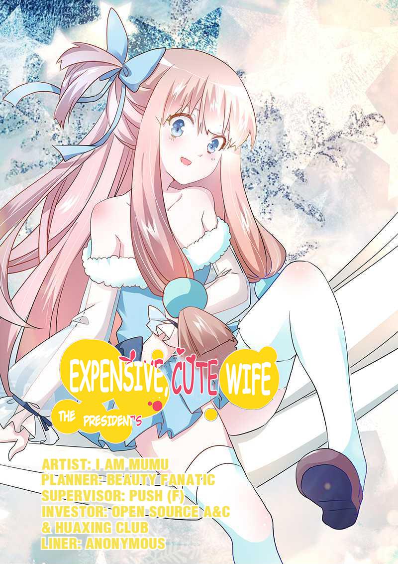 The President's Expensive, Cute Wife - Chapter 20: Episode 20