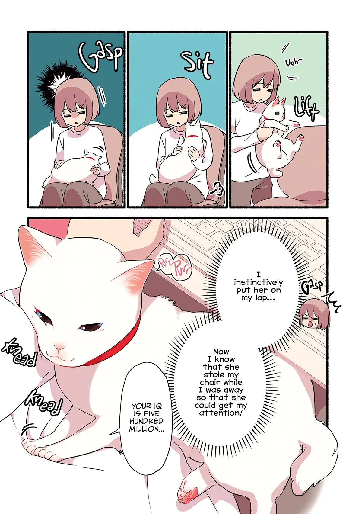 Aisaretagari No Shironeko Miko-San - Vol.1 Chapter 1.3: Part 3: Miko-San And Drawing Tablets