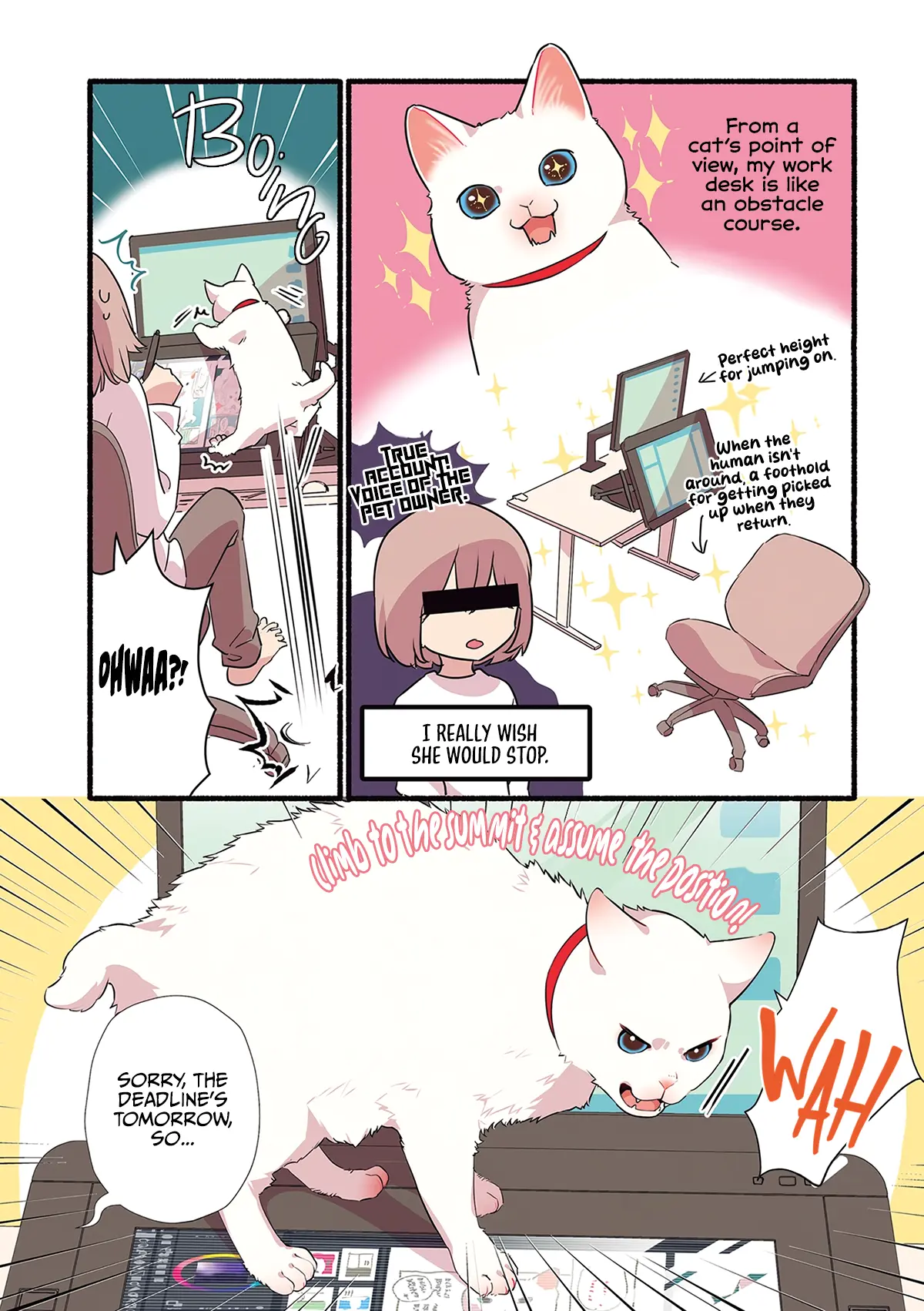 Aisaretagari No Shironeko Miko-San - Vol.1 Chapter 1.3: Part 3: Miko-San And Drawing Tablets