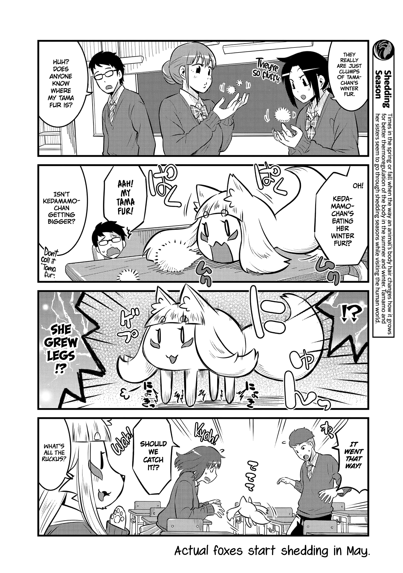 High School Inari Tamamo-Chan! - Vol.4 Chapter 62