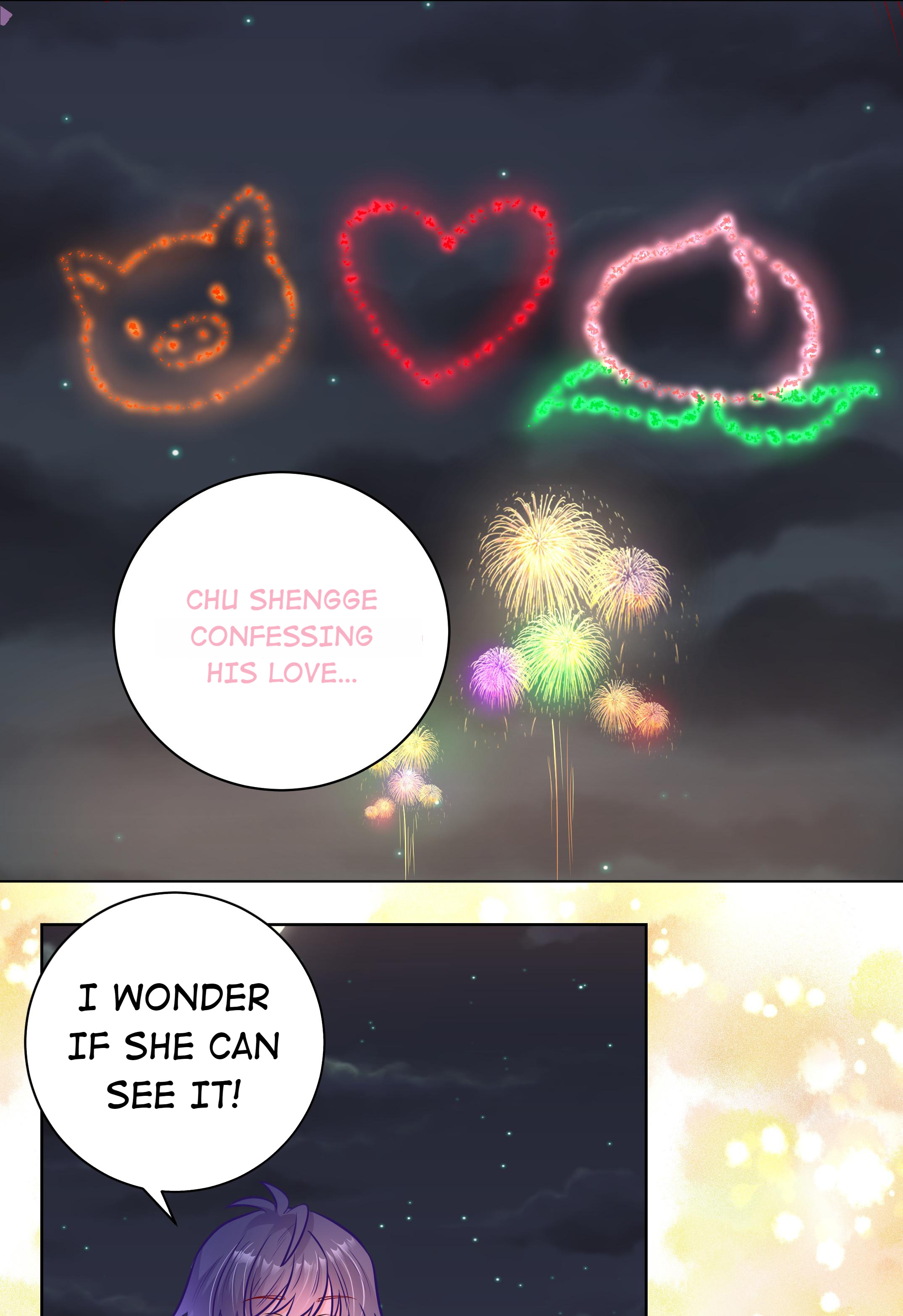 The Prince Consort Is Passing - Chapter 41: Romancing Under The Fireworks