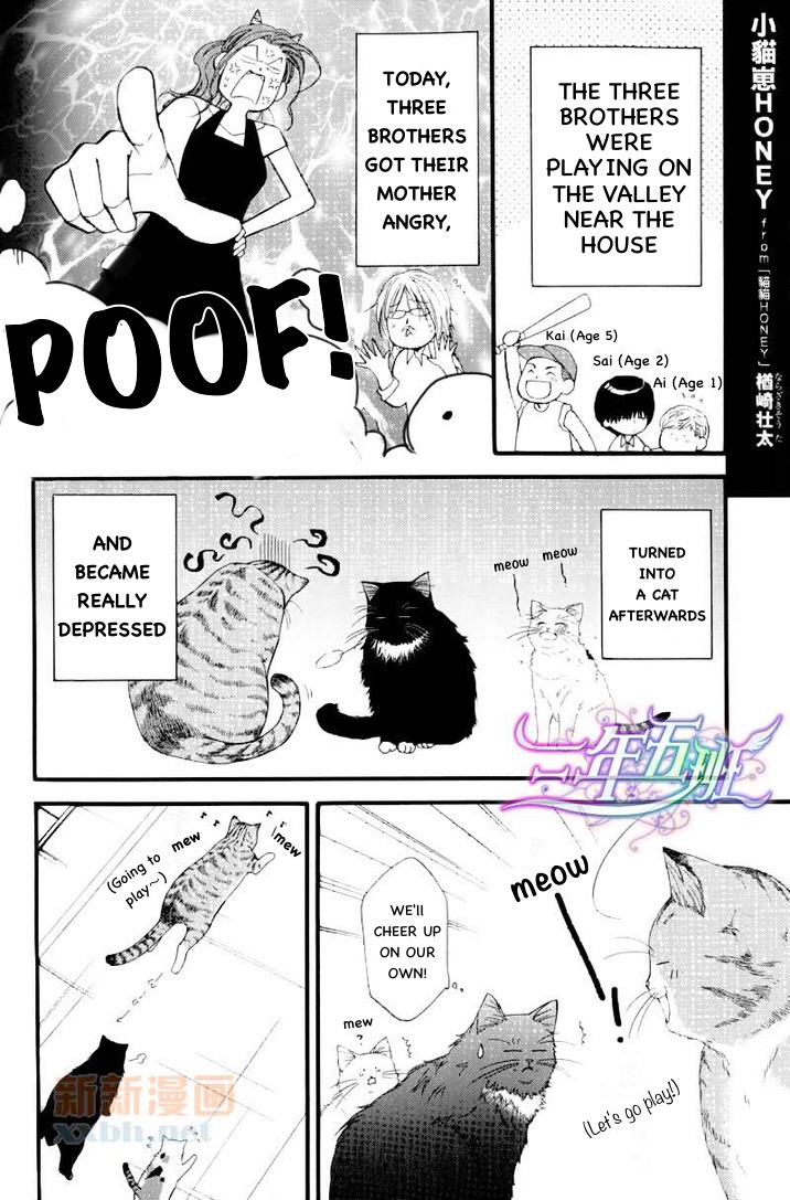 Neko Neko Honey - Vol.1 Chapter 6.5: Extra 1