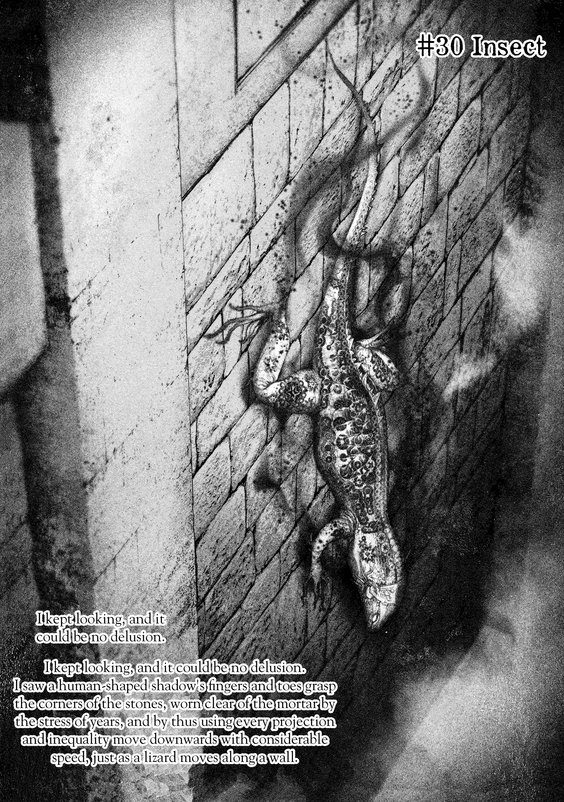 #Drcl Midnight Children - Vol.4 Chapter 30: Insect