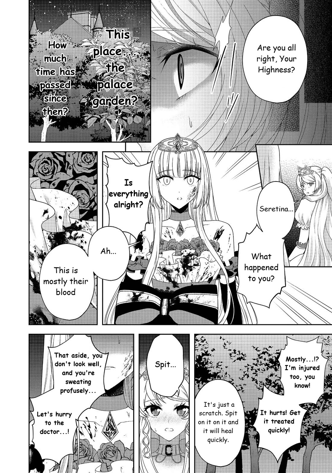 Sword, Tiara And High Heels - Chapter 12