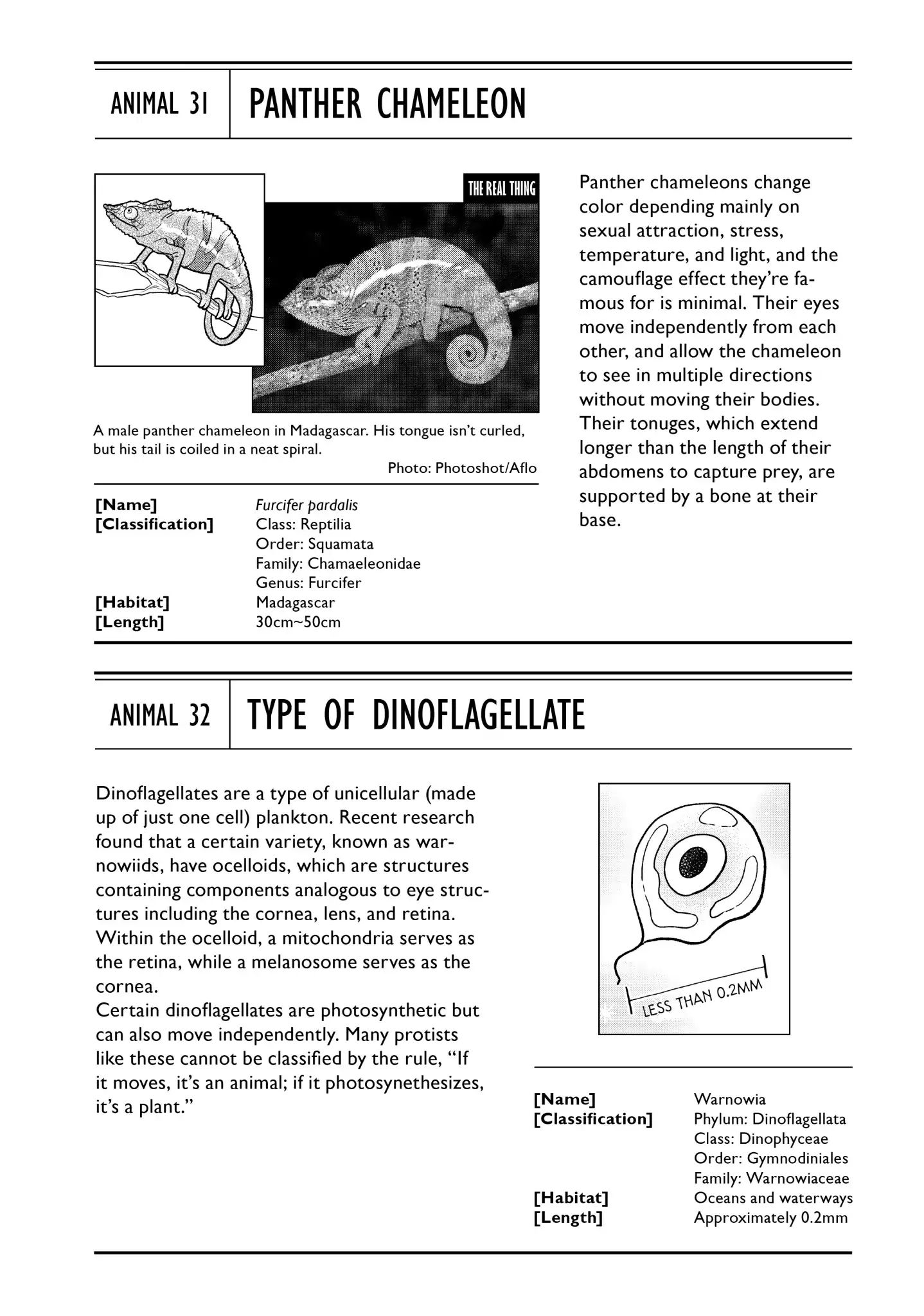 Heaven's Design Team - Vol.2 Proposal 11