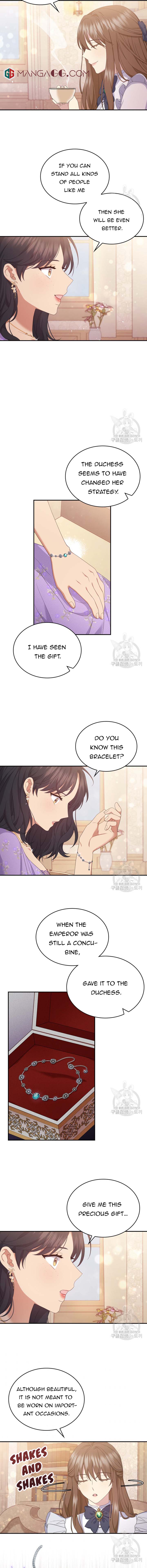 The Two-Faced Princess - Chapter 63