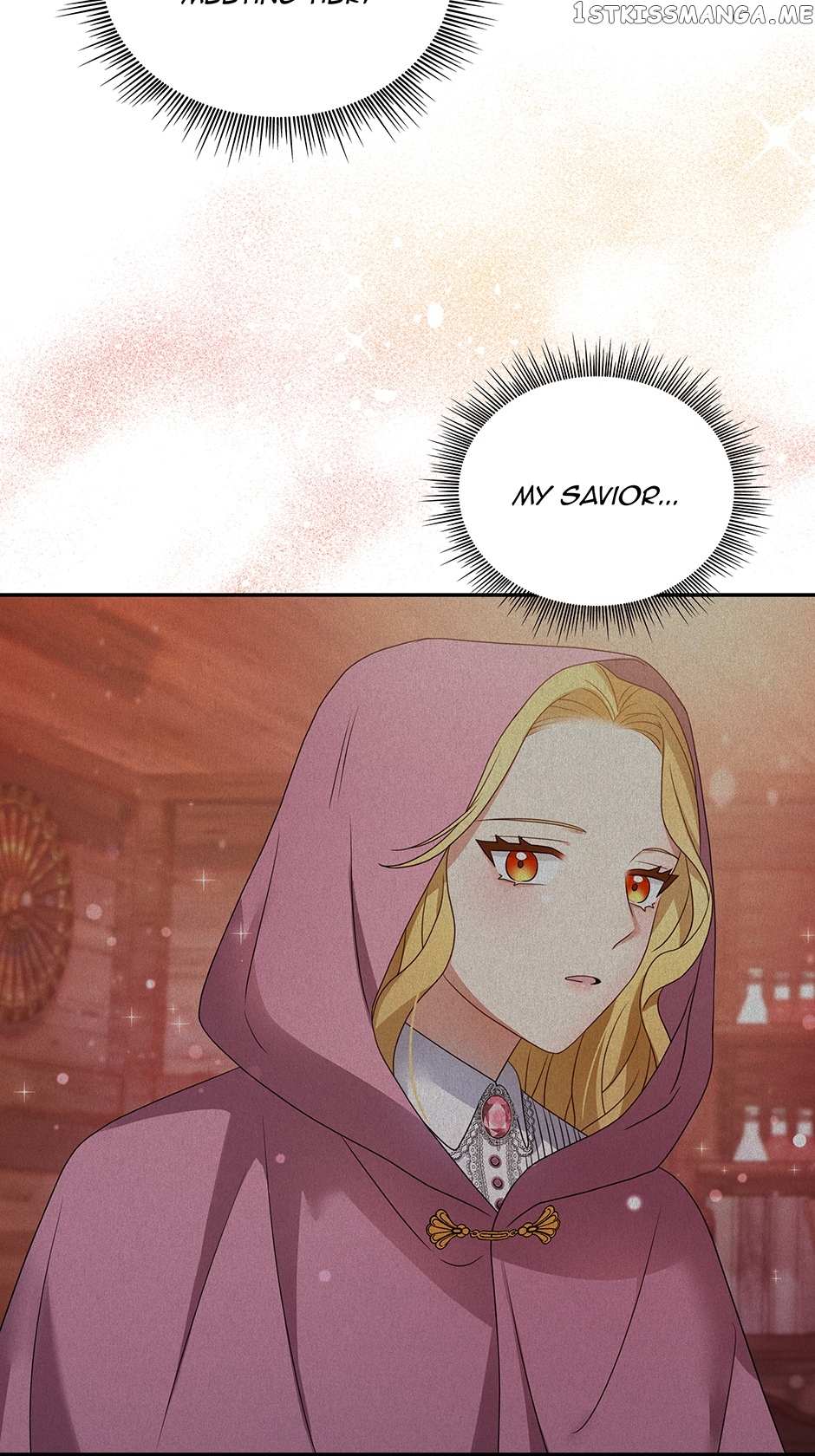 The Two-Faced Princess - Chapter 93