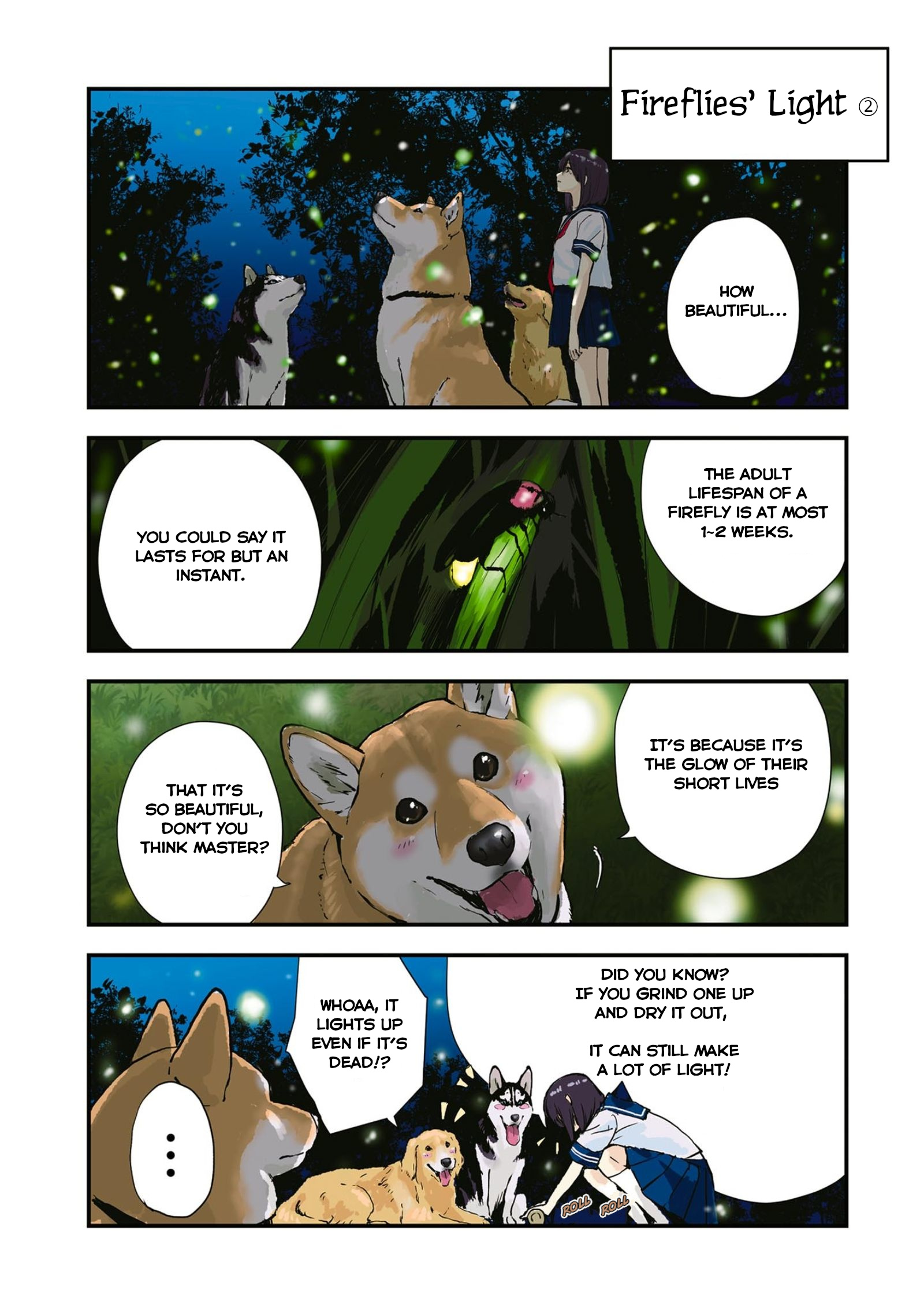 Roaming The Apocalypse With My Shiba Inu - Vol.3 Chapter 35