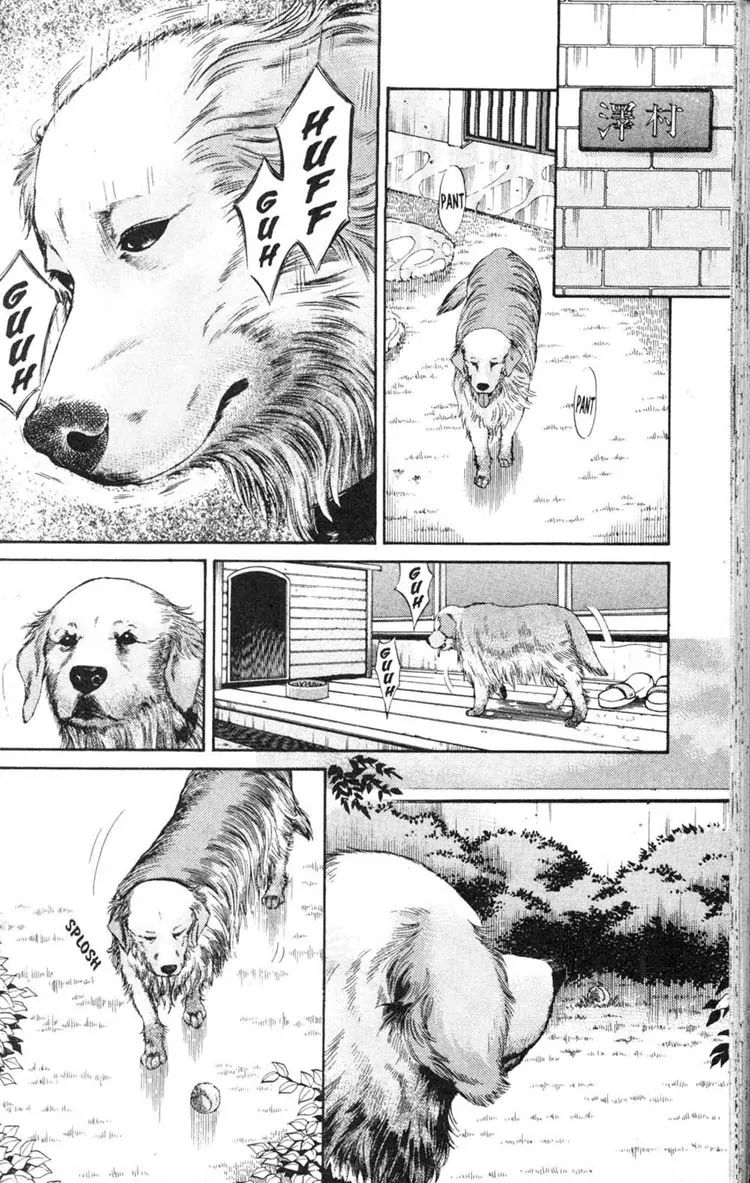 Inubaka - Chapter 6: What The Dog Taught Me