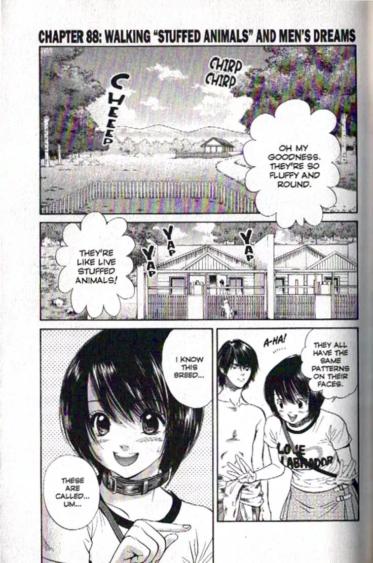 Inubaka - Chapter 88: Walking "Stuffed Animals" And Men's Dreams