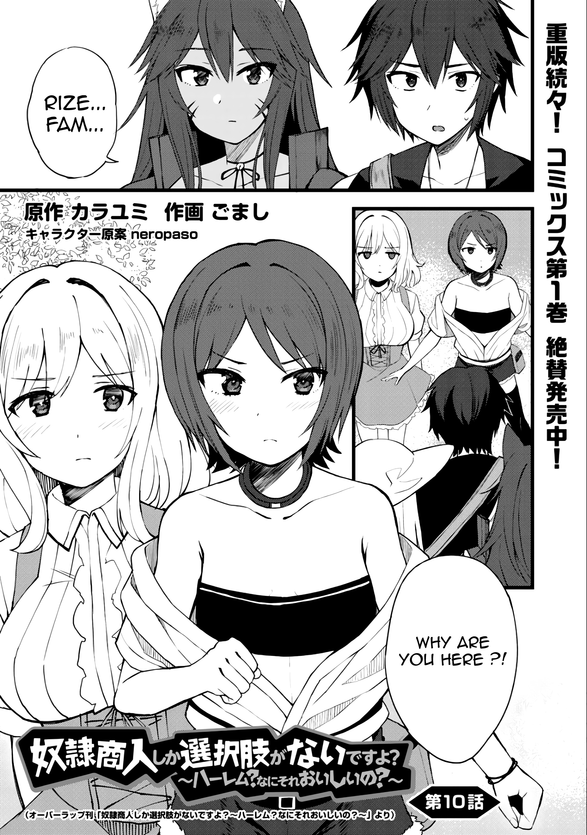 Dorei Shounin Shika Sentakushi Ga Nai Desu Yo? ~Harem? Nani Sore Oishii No?~ - Vol.2 Chapter 10