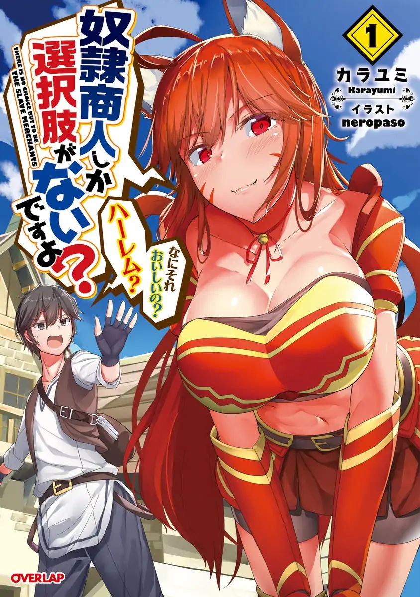 Dorei Shounin Shika Sentakushi Ga Nai Desu Yo? ~Harem? Nani Sore Oishii No?~ - Vol.1 Chapter 2