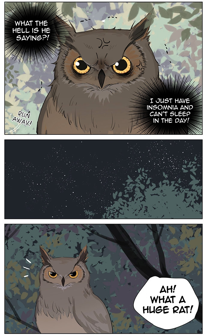 Aman's Animal Tales - Chapter 6: Owl