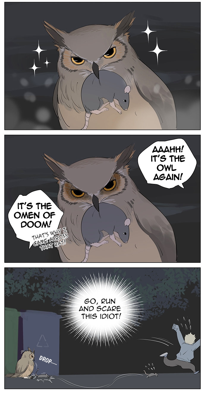 Aman's Animal Tales - Chapter 6: Owl