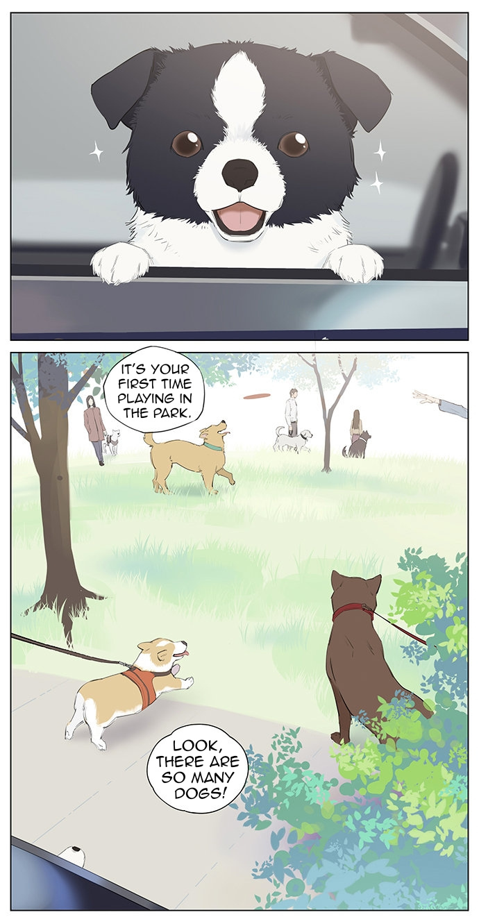 Aman's Animal Tales - Chapter 7: Dogs