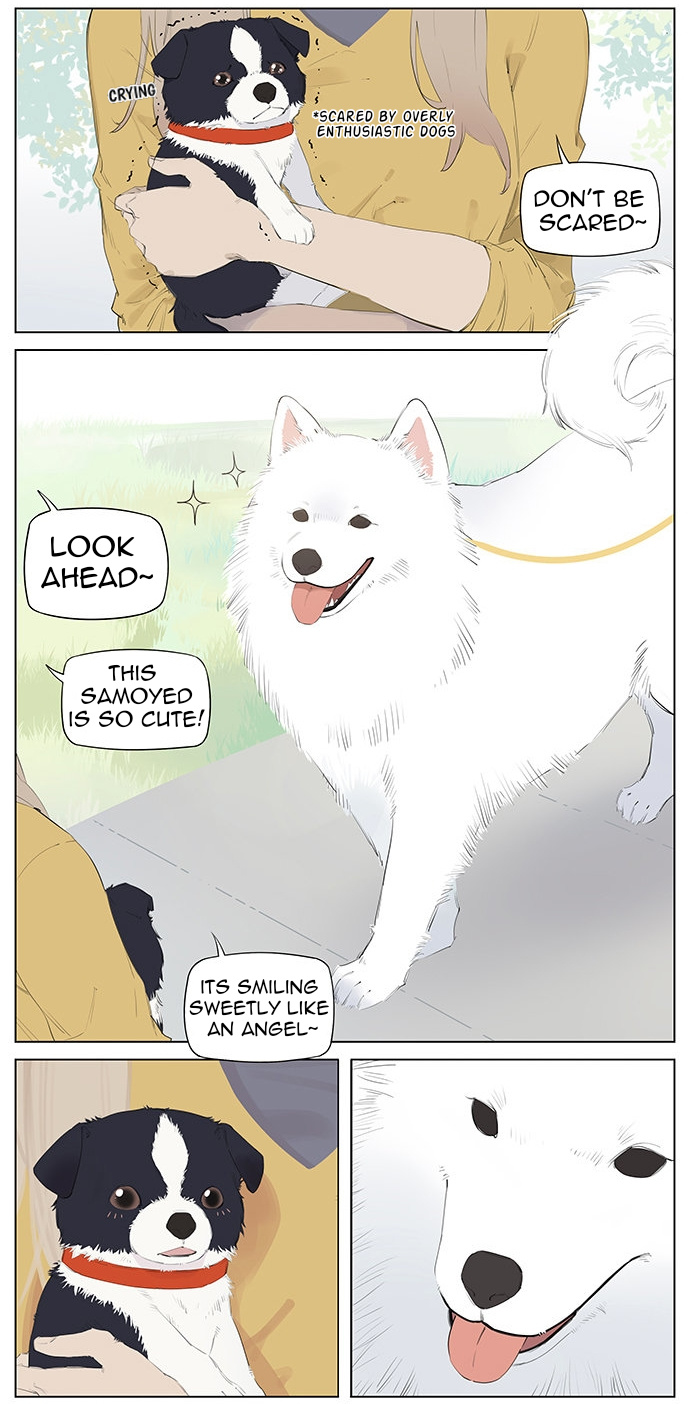 Aman's Animal Tales - Chapter 7: Dogs