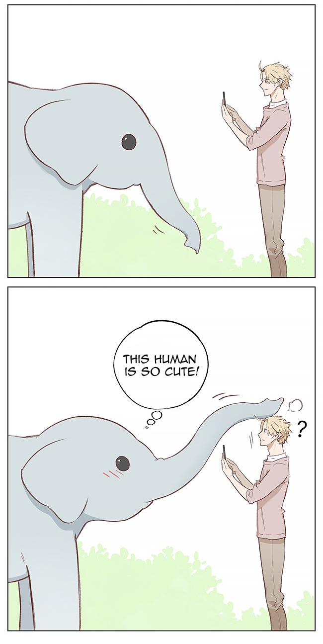 Aman's Animal Tales - Chapter 1: Elephant