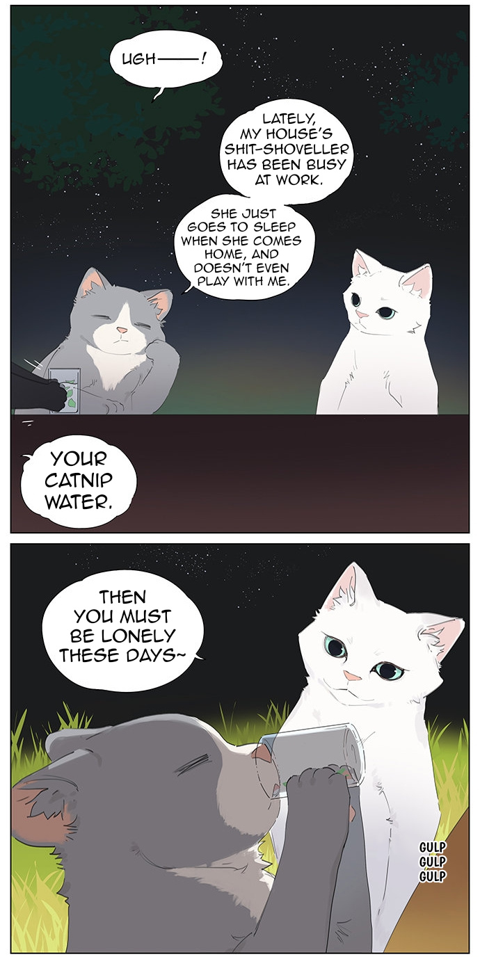 Aman's Animal Tales - Chapter 10: A Kitten's Nightlife