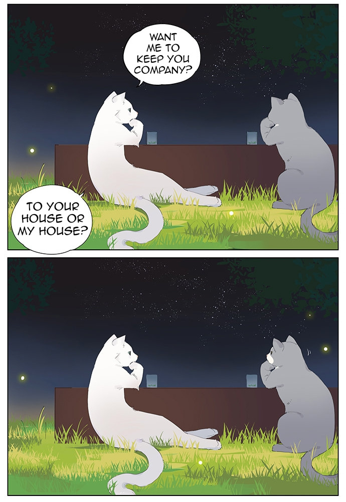 Aman's Animal Tales - Chapter 10: A Kitten's Nightlife