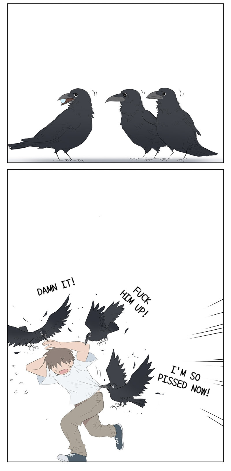 Aman's Animal Tales - Chapter 13: Crows On The Road