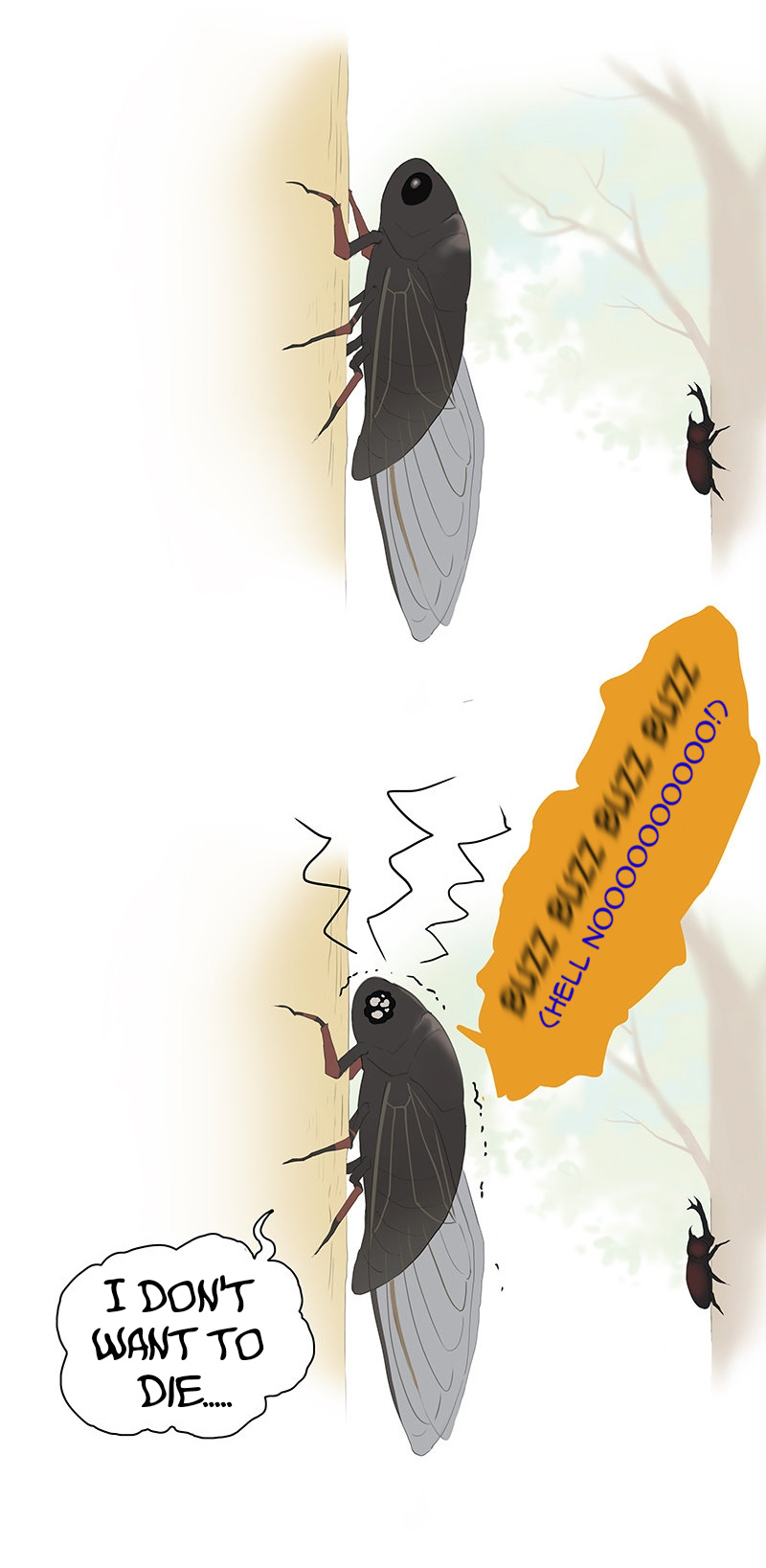 Aman's Animal Tales - Chapter 14: Cicadas