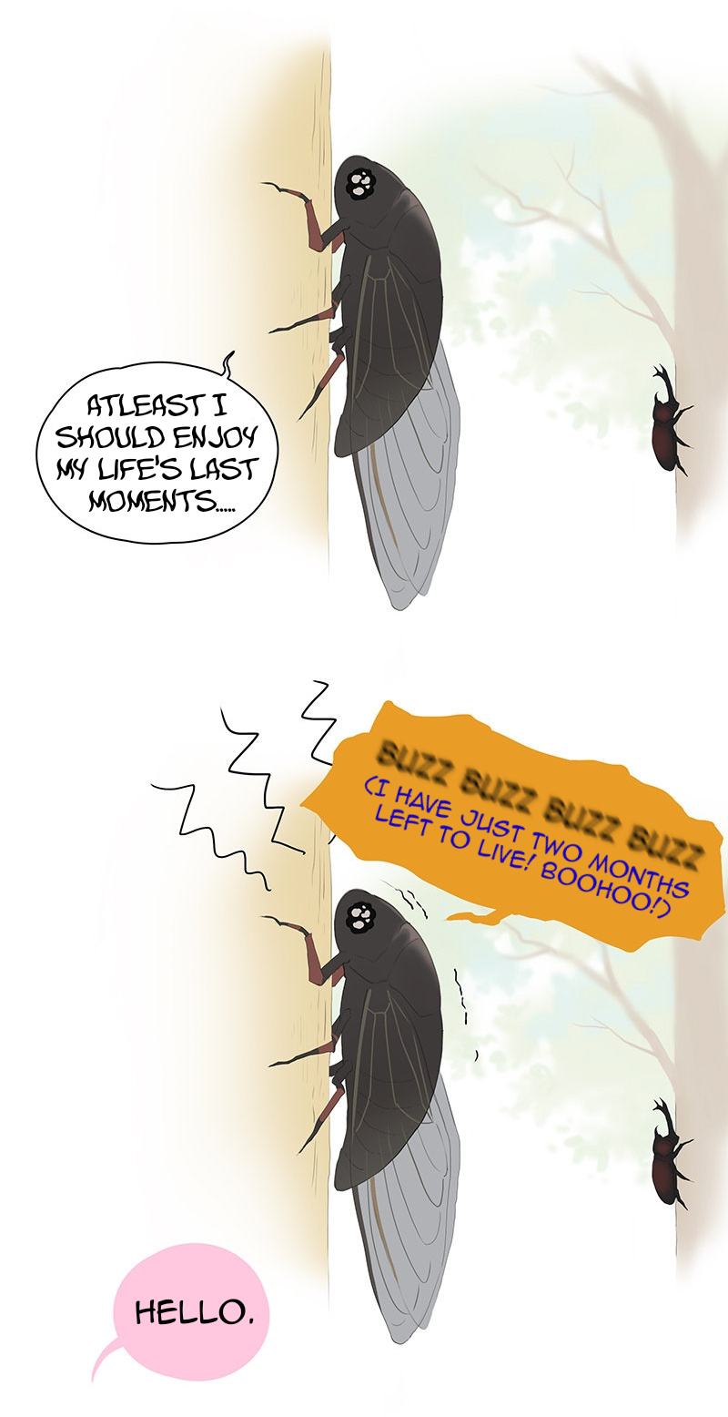 Aman's Animal Tales - Chapter 14: Cicadas