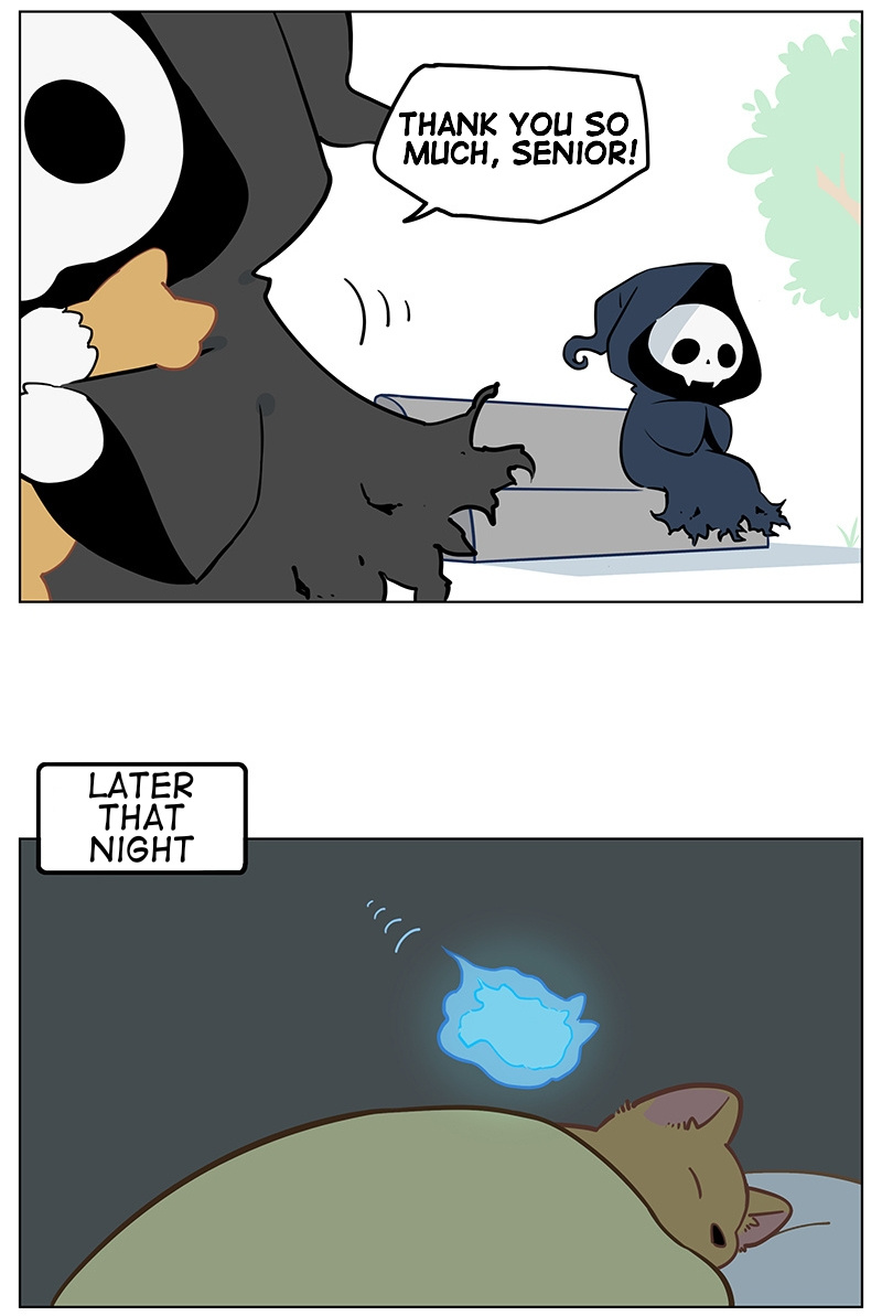 Aman's Animal Tales - Chapter 19: The Grim Reaper's Cat