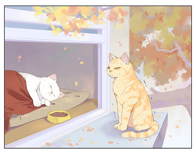 Aman's Animal Tales - Chapter 4: The Disappointing House Cat (1)