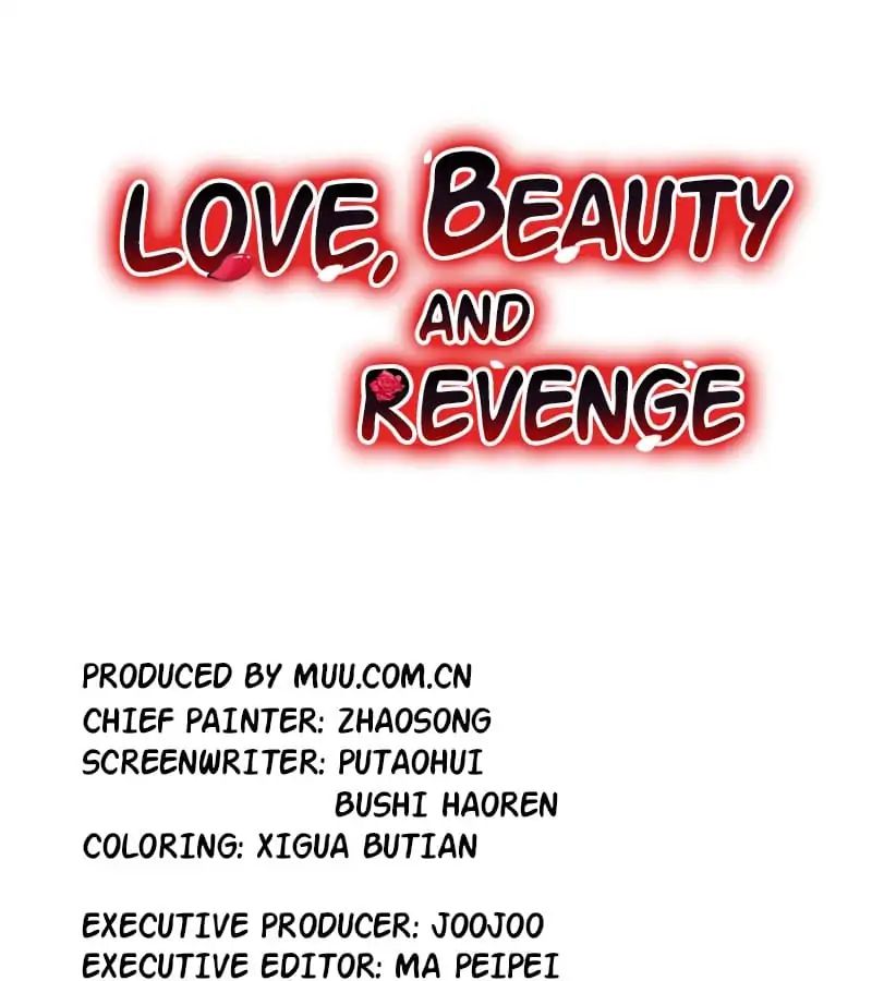 Love, Beauty And Revenge - Chapter 14: My Dream Came True