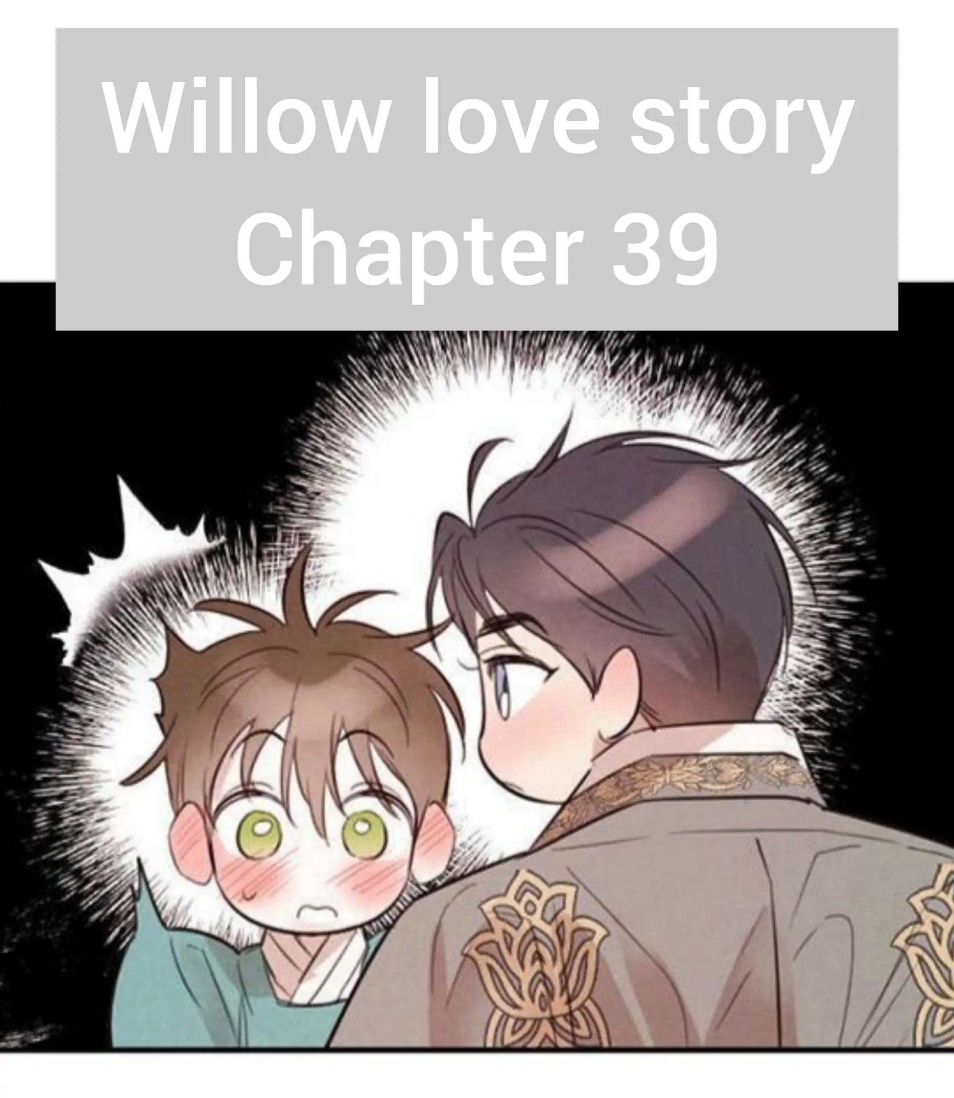 Willow Love Story - Chapter 39