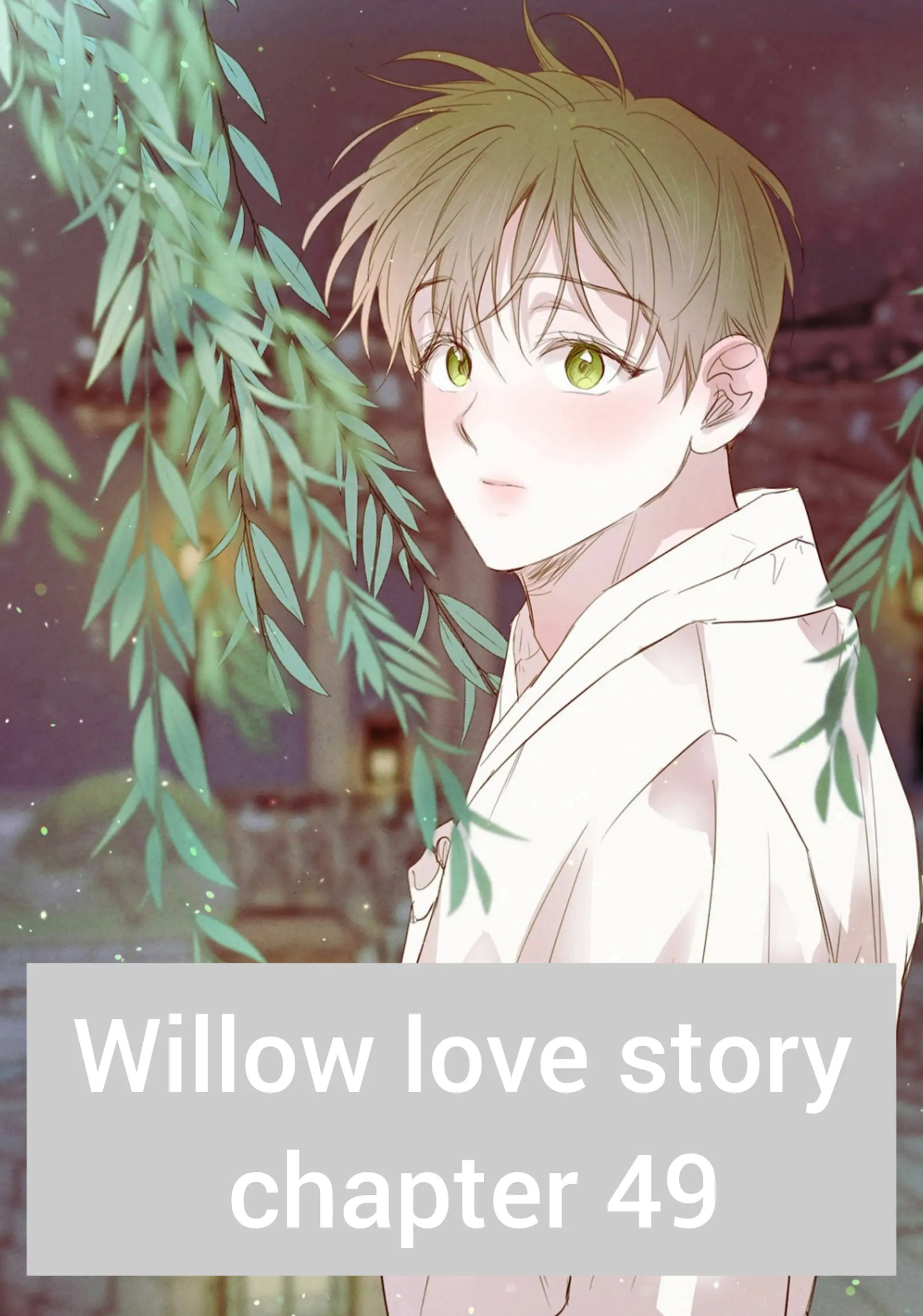 Willow Love Story - Chapter 49