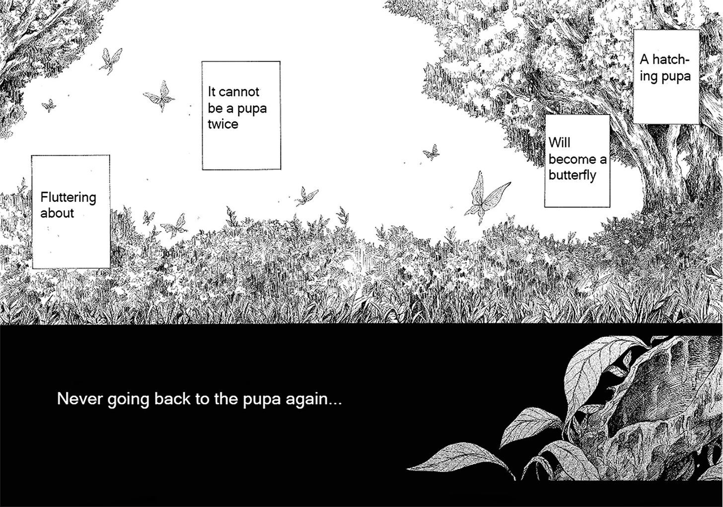 Pupa - Vol.2 Chapter 12 : The Moon And The Pupa