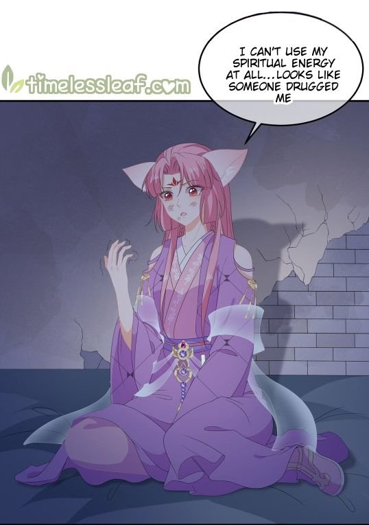 Fox Concubine, Don't Play With Fire - Chapter 77