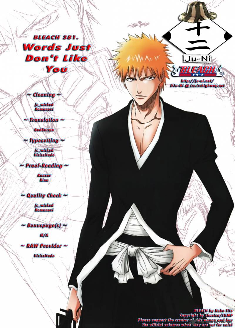 Bleach - Chapter 381 : Words Just Don't Like You