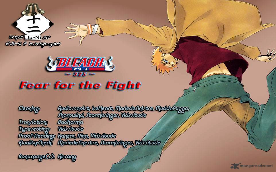 Bleach - Chapter 325 : Fear For The Fight